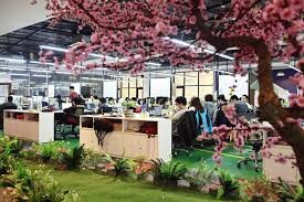 Tilling Timber Pty Ltd 6