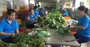 CÔNG TY CP ĐẦU TƯ TM SX GREEN HILLS 4