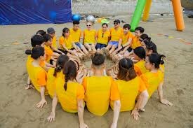 Quế Hồi Việt Nam (VINASAMEX., JSC) 3