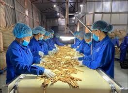 Quế Hồi Việt Nam (VINASAMEX., JSC) 1