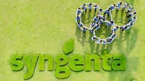 Syngenta Việt Nam 8