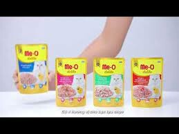 Perfect Companion Việt Nam 5