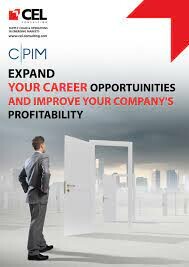 Cel Consulting Salary 8