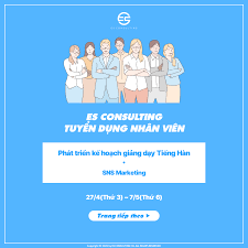 ES Consulting VietNam 3