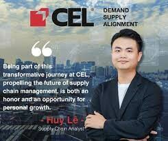 Cel Consulting Salary 6