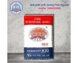 Vương Phúc Nguyên 5