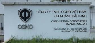Ogino Việt Nam 9