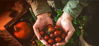 Nguyên Liệu Thực Phẩm Hoàng Anh - Hoàng Anh Flavor 7