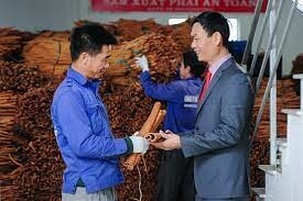 Quế Hồi Việt Nam (VINASAMEX., JSC) 7