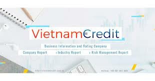 Vietnamcredit 6