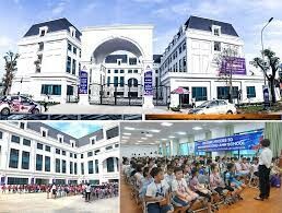 Archimedes Đông Anh 8