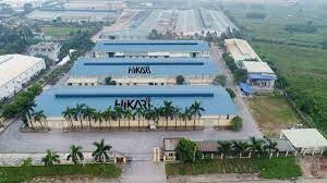 Tập Đoàn Dekko 5