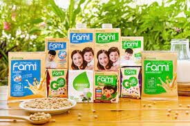 Sữa đậu nành Việt Nam - Vinasoy 9