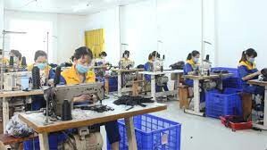 Công ty cổ phần Á Long 5