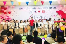 Đầu tư liên doanh Việt Anh - VIAVET 6