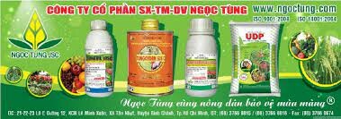 Công Ty Thương mại & Dịch vụ Ngọc Tùng 9