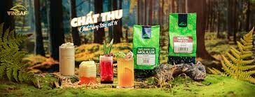 BẮC THÁI NAM SG - Vinsaf 9