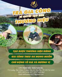 BẮC THÁI NAM SG - Vinsaf 8