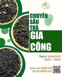 BẮC THÁI NAM SG - Vinsaf 6