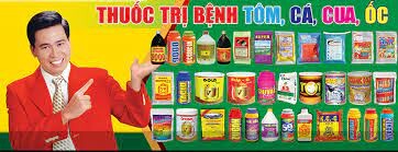 Công Ty TM DV Diên Khánh 8