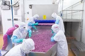 Trái Cây Hùng Phát 4