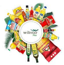 Wilmar Marketing CLV 7