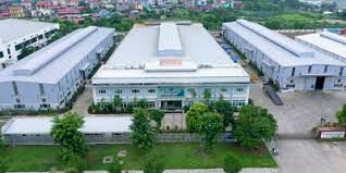 Vĩnh Hưng (TMI Viet Nam) 4