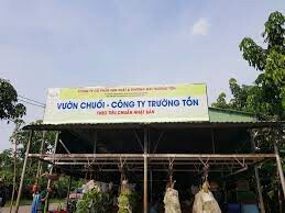 Công Ty Cổ Phần Sản Xuất và Thương Mại Trường Tồn 8