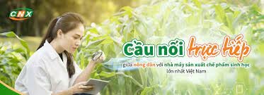 Công Nghệ Xanh Việt Nam 10