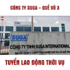 Suga International 8