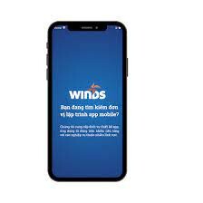 Windsoft Technology 8