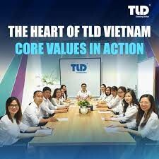 TLD Việt Nam 6