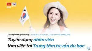 ES Consulting VietNam 10