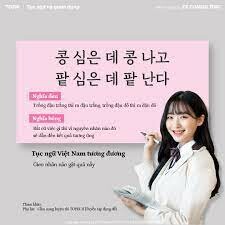 ES Consulting VietNam 6