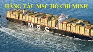 MSC LINE 1