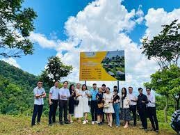 Công ty Cổ phần Đá tự nhiên VNS 6