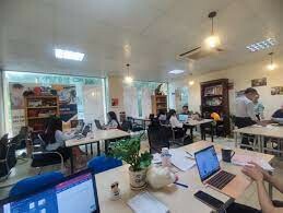 Vi Nguyễn - Da vinci 11