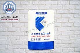 Vương Phúc Nguyên 3