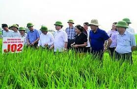 Công Nghệ Xanh Việt Nam 2