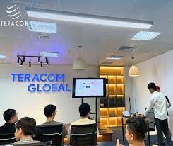 Teracom Global 6