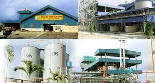 Wilmar Agro Việt Nam 2