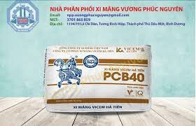 Vương Phúc Nguyên 2