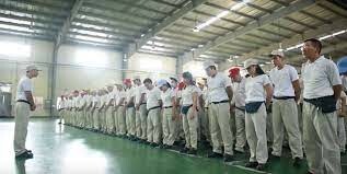 Toyoink Compounds VIETNAM 3