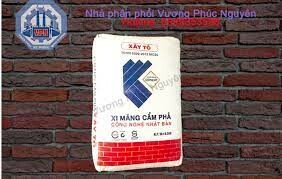 Vương Phúc Nguyên 1