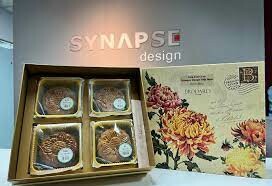 Synapse Design 7