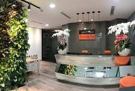 SIMPSON STRONG-TIE VIETNAM 5