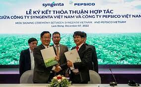 Syngenta Việt Nam 3