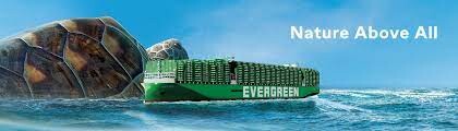 Evergreen Shipping Agency (Vietnam) 7