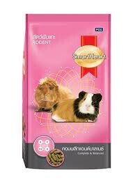 Perfect Companion Việt Nam 9