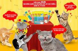 Perfect Companion Việt Nam 7